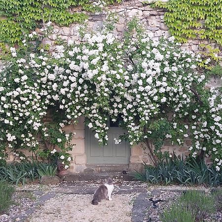 그로스피에르 La Flor Azul B&B 외부 사진