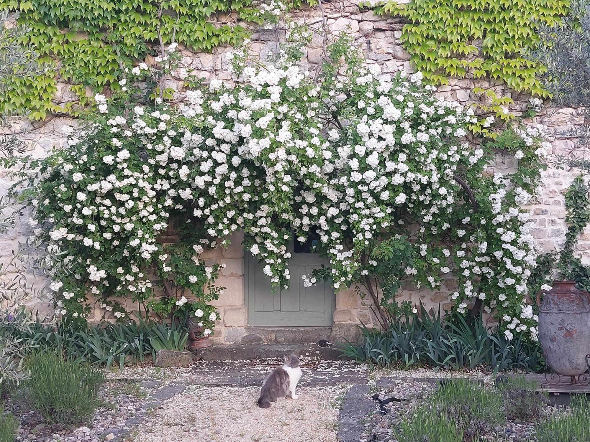 그로스피에르 La Flor Azul B&B 외부 사진